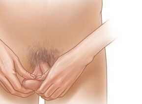 Ejercicios de agrandamiento del pene Jieerqing